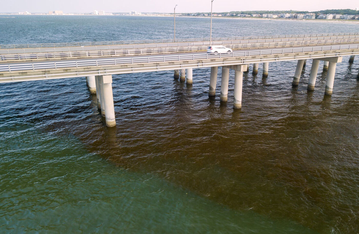 Bay Bridge Algal Bloom